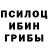 Галлюциногенные грибы GOLDEN TEACHER GMD ATOM